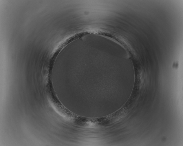 X0000112850496200908281607