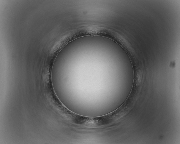 X0000112850497200908281607