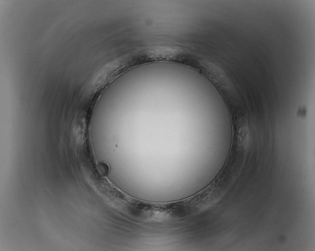 X0000112850498200908281607