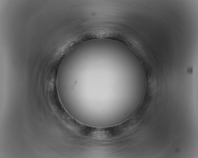 X0000112850499200908281607