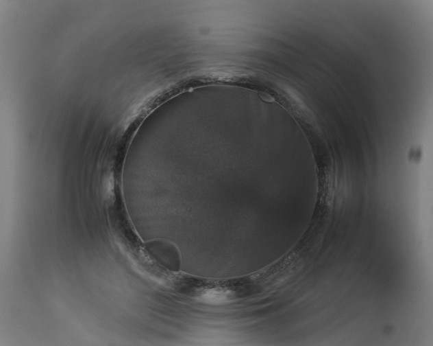 X0000112850500200908281607