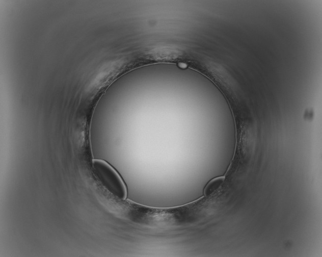 X0000112850501200908281607
