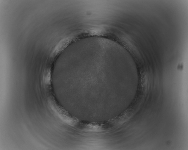 X0000112850502200908281607