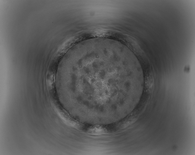 X0000112850503200908281607