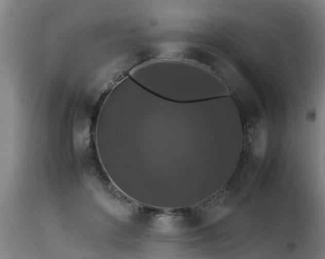 X0000112850504200908281607