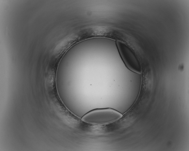 X0000112850505200908281607