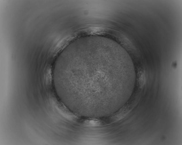 X0000112850506200908281607