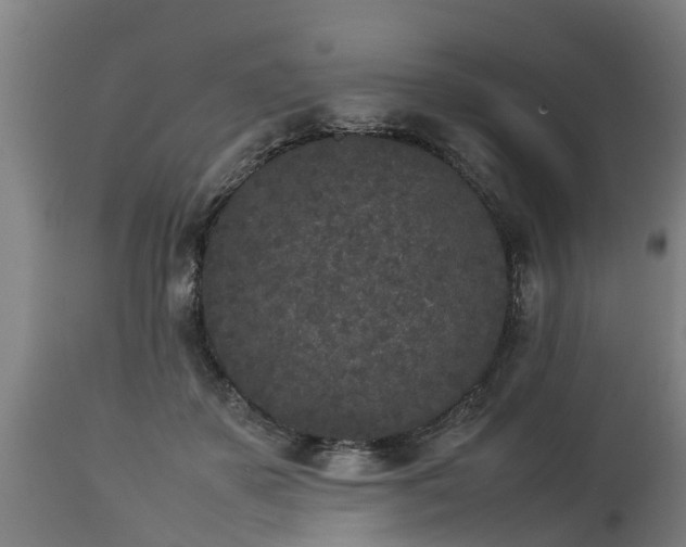 X0000112850507200908281607