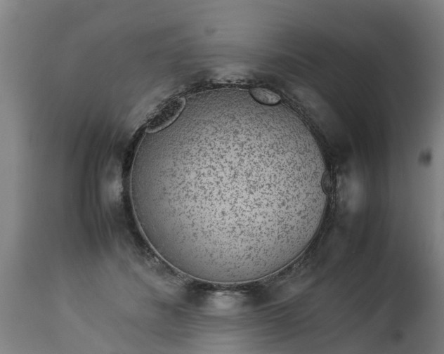 X0000112850508200908281607