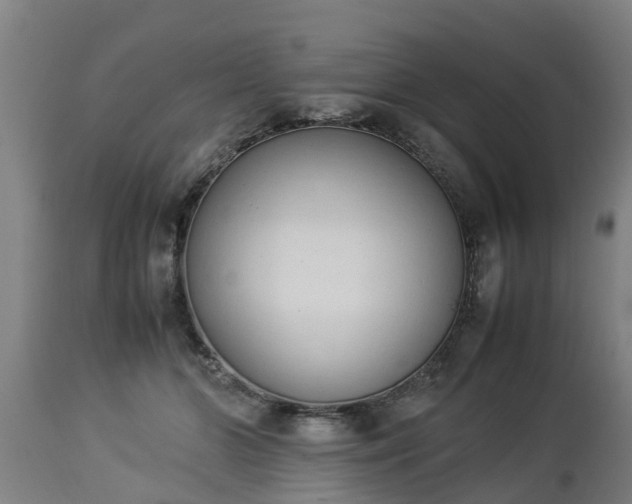 X0000112850510200908281607