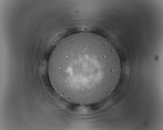 X0000112850511200908281607