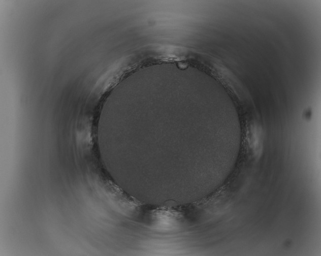 X0000112850512200908281607