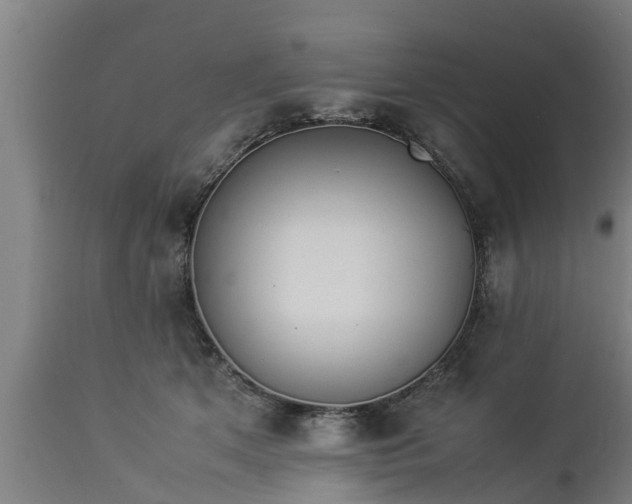 X0000112850513200908281607