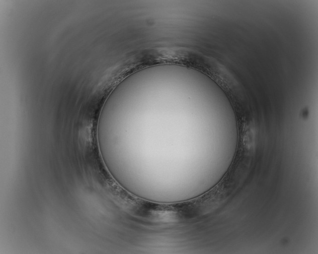 X0000112850514200908281606