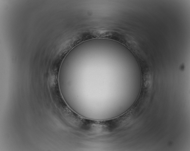X0000112850515200908281606