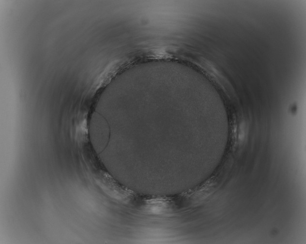 X0000112850516200908281606