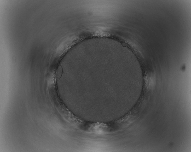 X0000112850517200908281606
