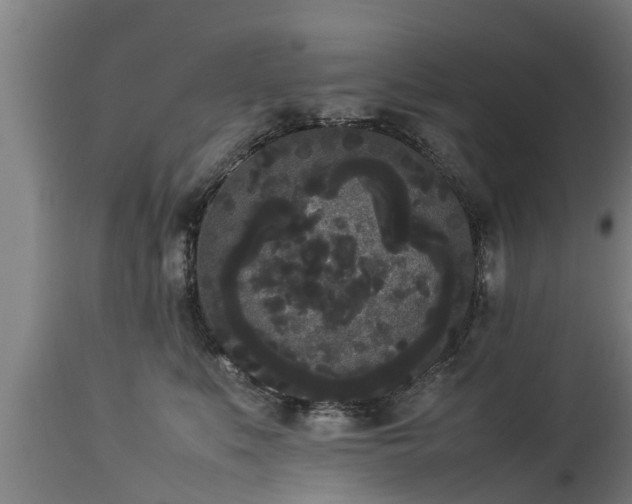 X0000112850519200908281606
