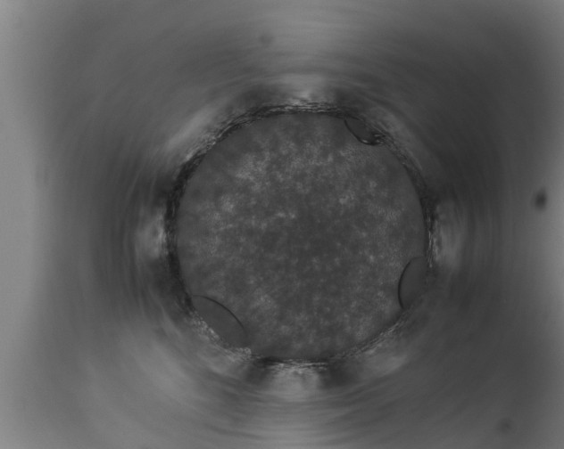 X0000112850520200908281606