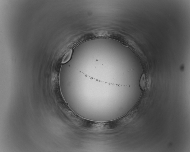 X0000112850521200908281606