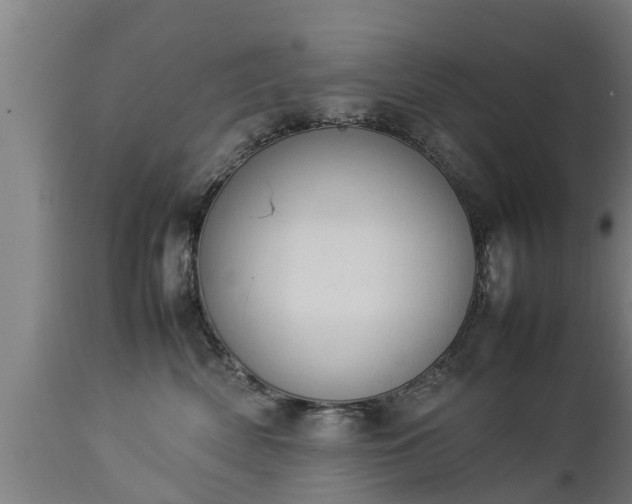 X0000112850522200908281606