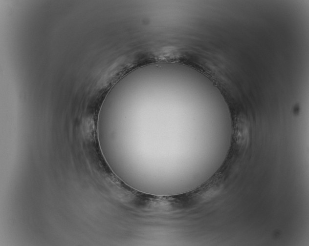 X0000112850523200908281606