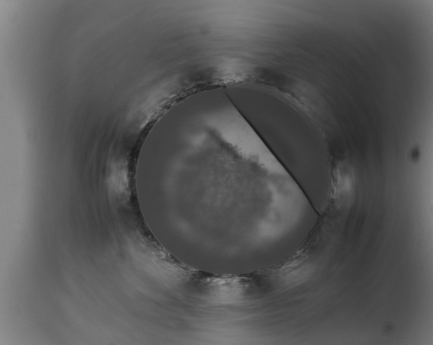 X0000112850524200908281606