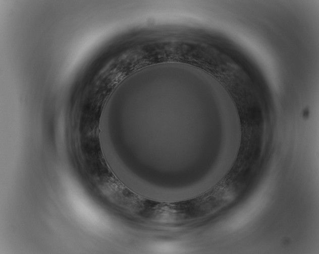 X0000112850526200908281606
