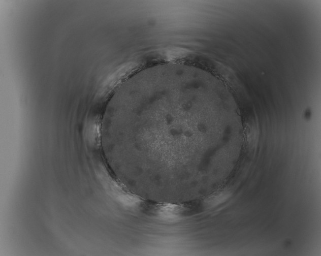 X0000112850527200908281606