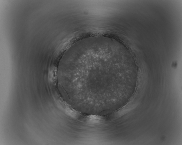 X0000112850528200908281606