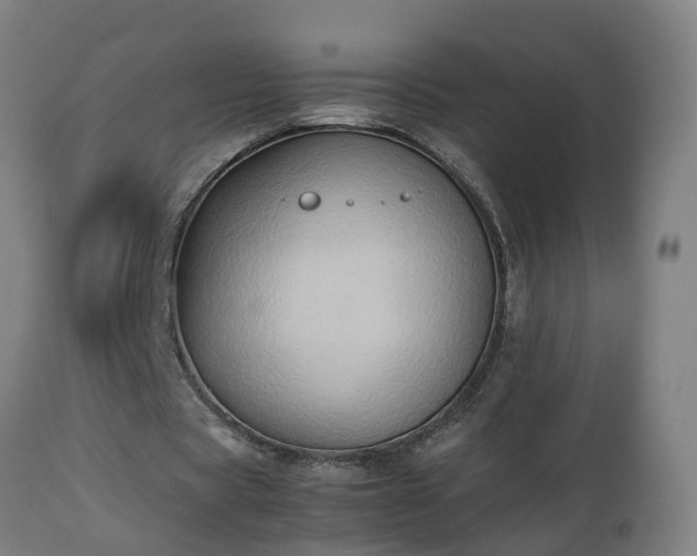 X0000112850529200908281606