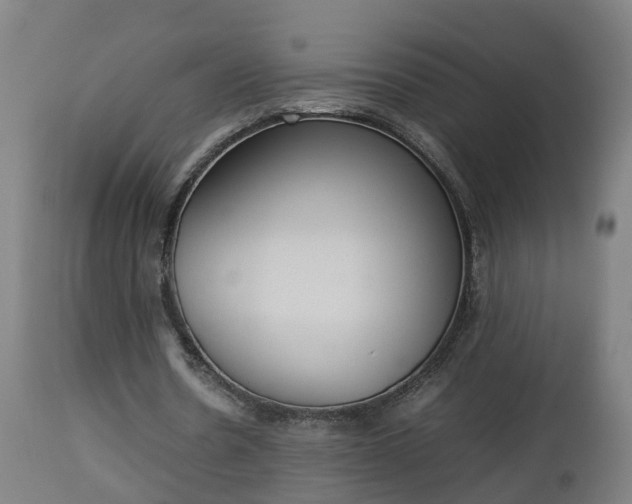 X0000112850530200908281606