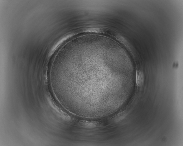 X0000112850531200908281606