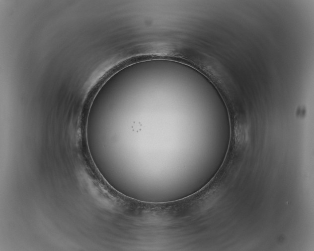 X0000112850532200908281606