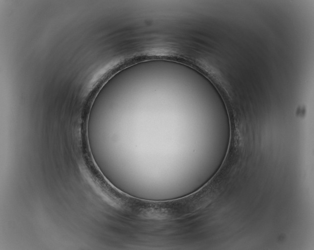 X0000112850535200908281606