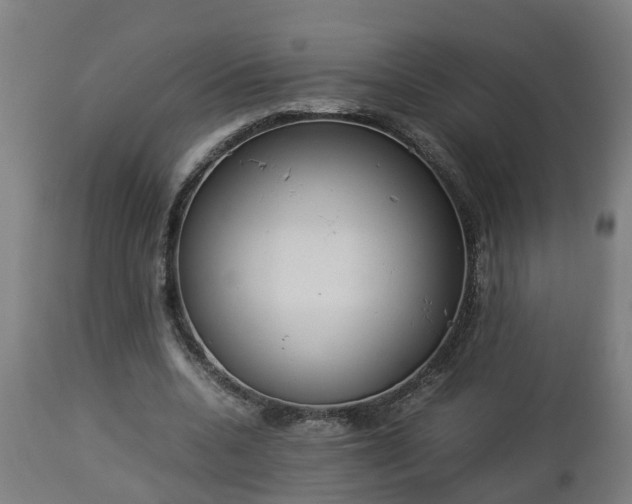 X0000112850536200908281606