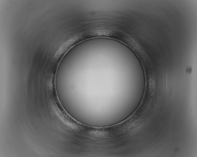 X0000112850537200908281606