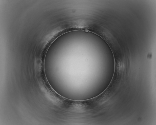 X0000112850540200908281606