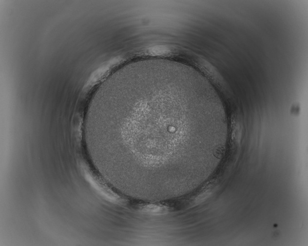 X0000112850542200908281606