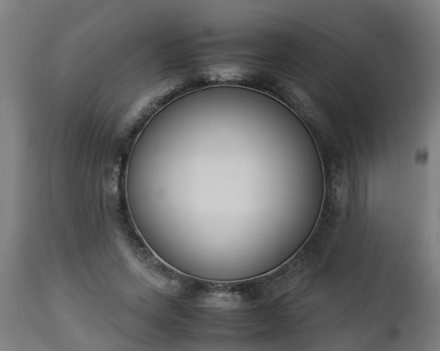 X0000112850543200908281606
