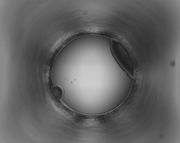 X0000112850544200908281606