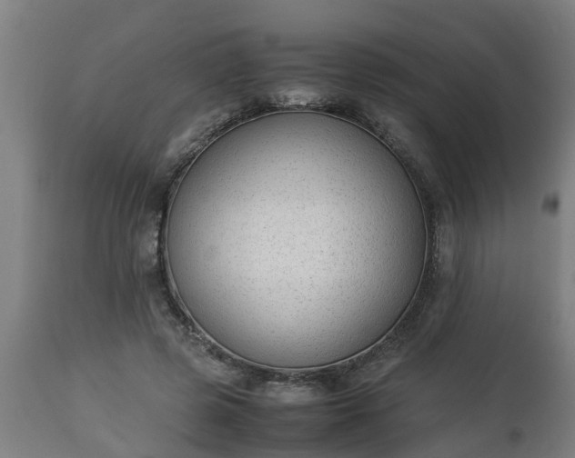 X0000112850545200908281606