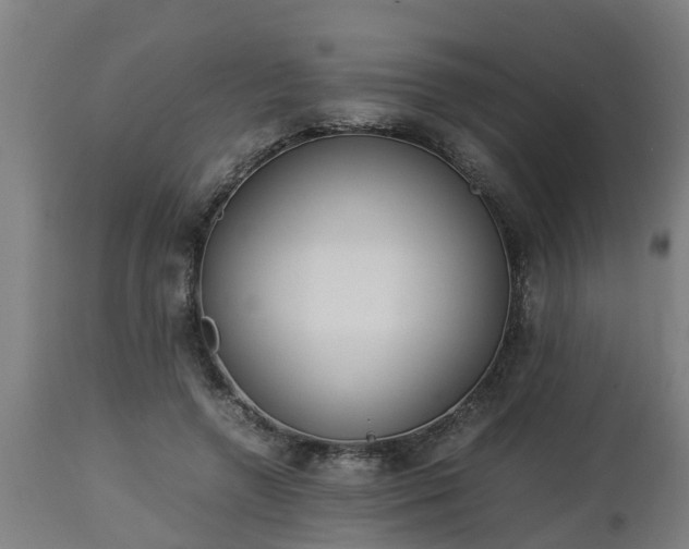 X0000112850546200908281606