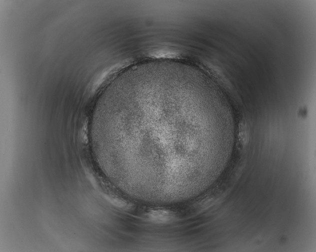 X0000112850547200908281606