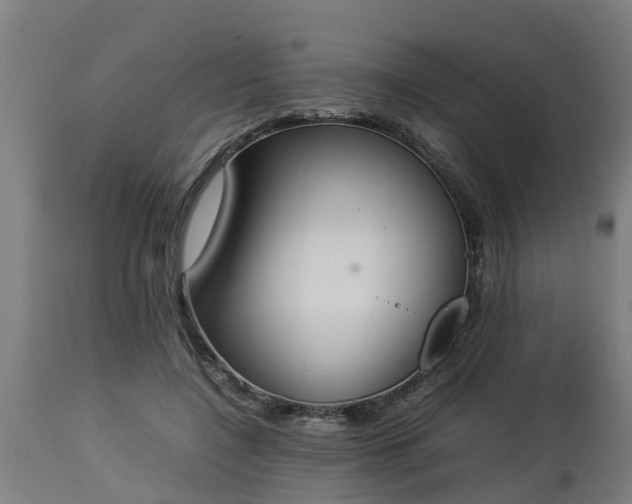 X0000112850548200908281606