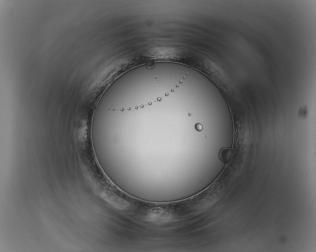 X0000112850549200908281606
