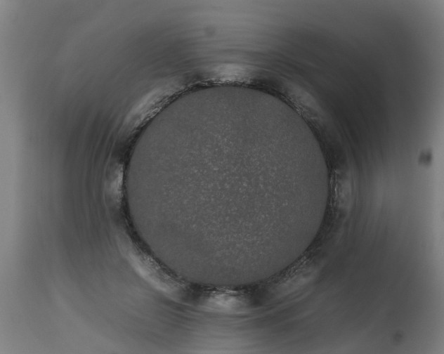 X0000112850550200908281606