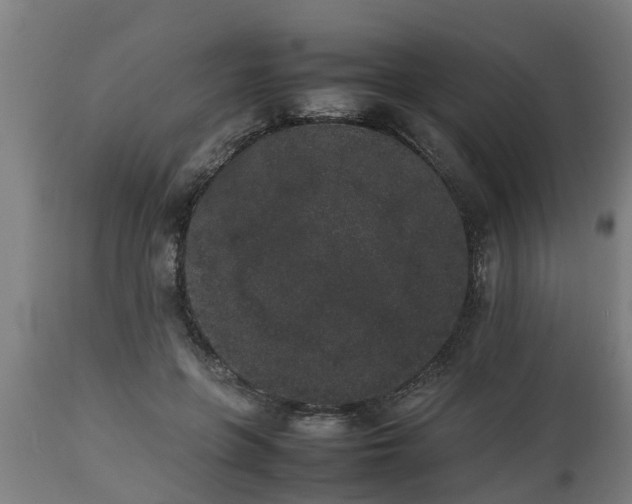 X0000112850551200908281606