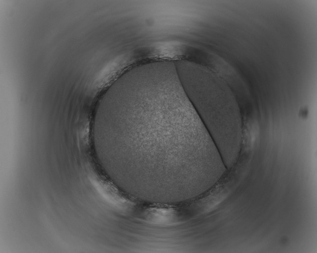 X0000112850552200908281606