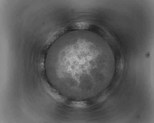 X0000112850553200908281606